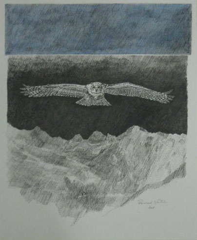 Tuschezeichnung von Reinhard Lentsch aus dem Jahr 2008, Format 35 x 40 cm auf Papier. Die Komposition zeigt einen Uhu mit ausgebreiteten Flügeln, der majestätisch über den Kaunergrat in Tirol gleitet. Der obere Bereich des Bildes ist in einem dunklen, leicht strukturierten Blau gehalten, das den Himmel darstellt. Darunter breitet sich eine schwarze Fläche aus, in der der Uhu fliegt. Die darunter liegende Gebirgslandschaft ist fein gezeichnet und wirkt wie aus Licht und Schatten modelliert. Die Szene vermittelt eine ruhige, aber kraftvolle Atmosphäre der alpinen Natur.