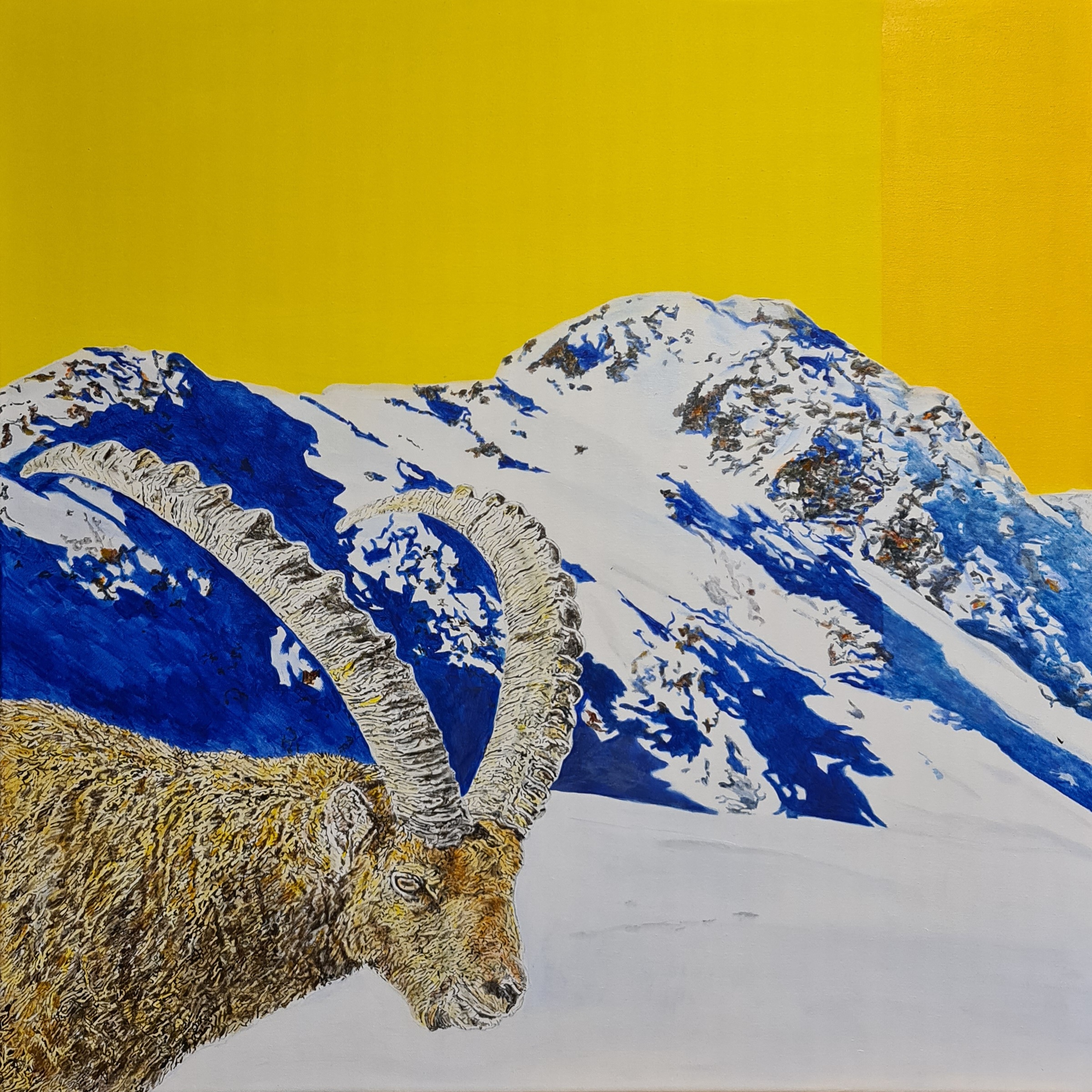 Der Rieder Künstler Reinhard Lentsch malte 2023 den Gaisplaiskopf in Nauders in einer Winteransicht in Acryl auf die 80 x 80 cm große Leinwand. Das Gemälde zeigt den markanten, 2817 m hohen Berg, der sich im Gemeindegebiet von Nauders in den Ötztaler Alpen befindet, nahe den Grenzen zu Südtirol und der Schweiz. Im Vordergrund thematisiert das Bild auch die Wiederansiedlung des Alpensteinbocks (Capra ibex), der in dieser Region Anfang des 19. Jahrhunderts ausgerottet war. Ab den 1950er-Jahren begann man mit gezielten Wiederansiedlungsprojekten, auch rund um Nauders. Heute leben in Tirol wieder viele Steinböcke, wobei Schätzungen für das Gebiet rund um den Reschenpass und den Gaisplaiskopf von einer Population im unteren dreistelligen Bereich ausgehen. Das Werk vermittelt nicht nur die typische Tiroler Landschaft, sondern verweist auch auf die erfolgreiche Rückkehr eines ikonischen Alpenbewohners. Es ist ein stilles Zeugnis ökologischer Erneuerung und des sensiblen Gleichgewichts zwischen Mensch und Natur.