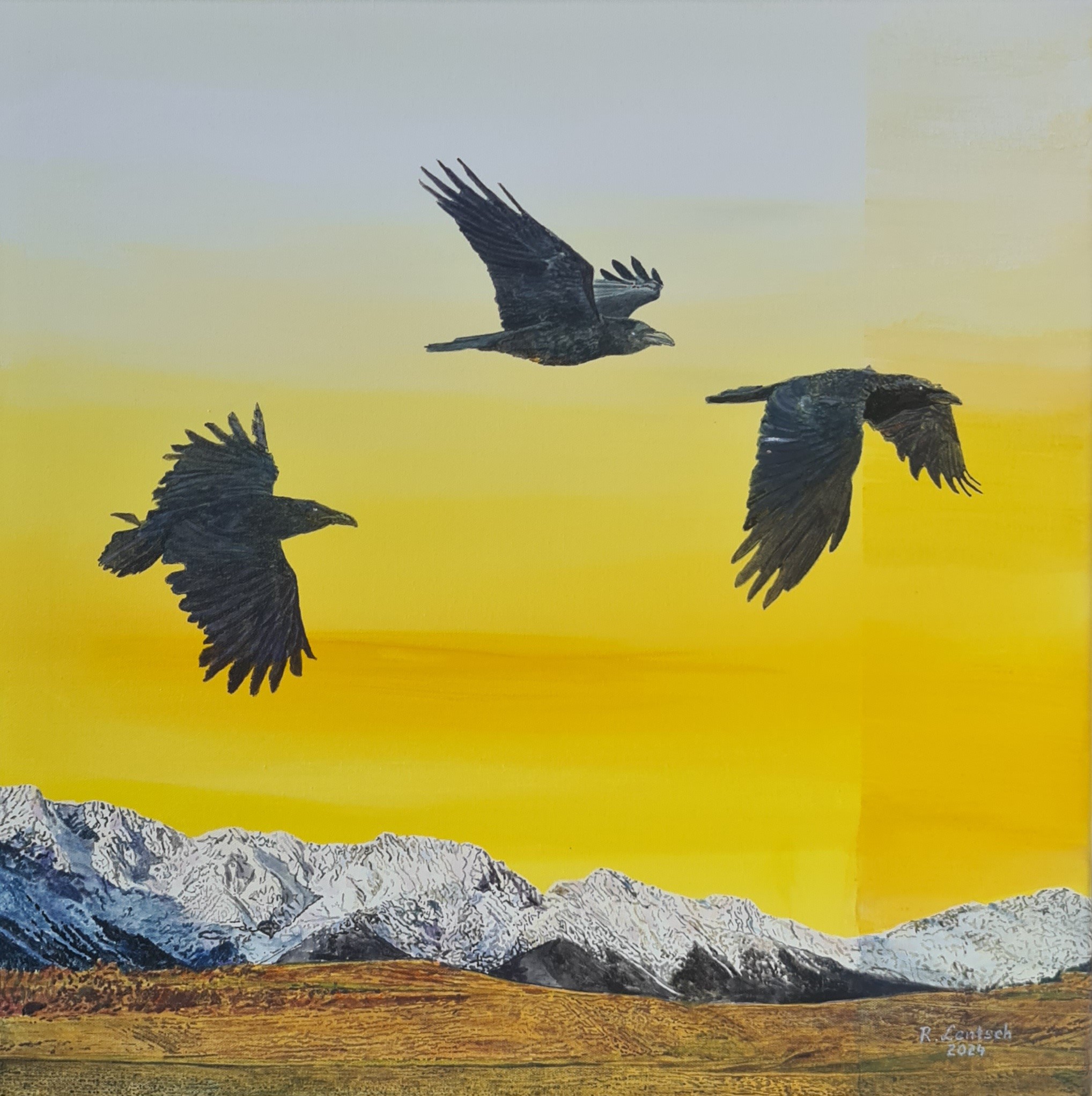Acrylgemälde (60 x 60 cm) von Reinhard Lentsch: Drei Kolkraben im Flug vor der Mieminger Kette. Das stimmungsvolle Landschaftsbild zeigt die majestätischen Gebirgsketten mit einem goldgelben Himmel als Hintergrund. Malerei auf Leinwand, Entstehungsjahr 2024.