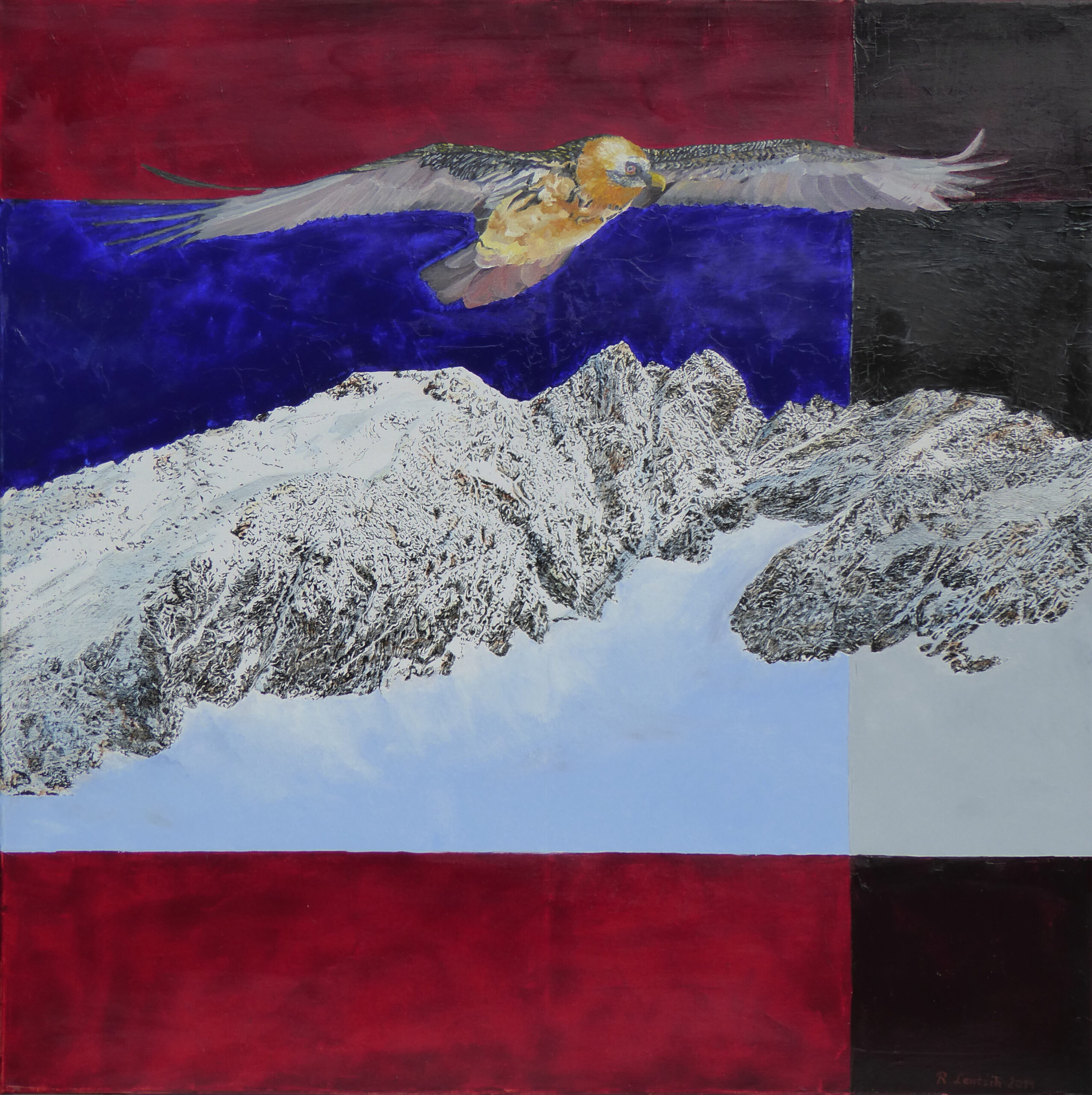 Der Rieder Künstler Reinhard Lentsch zeichnete und malte 2014 dieses Bild mit Tusche und Öl auf einer 80 x 80 cm großen Leinwand. Das Motiv gehört zu einer Serie „Tiere im Alpenraum“. Der Berg ist eine freie Erfindung. Der Bartgeier – ein faszinierender Überlebenskünstler der Alpen Der Bartgeier, auch Lämmergeier genannt, gehört zur Familie der Habichtartigen und ist damit weder ein klassischer Geier noch ein Adler. Mit einer Flügelspannweite von bis zu 2,90 Metern, einem Gewicht von bis zu 7 Kilogramm und einer Lebenserwartung von bis zu 40 Jahren zählt er zu den größten flugfähigen Vögeln Europas. Seine Ernährung ist einzigartig: Bis zu 90 % seiner Nahrung besteht aus Knochen. Um an das nahrhafte Knochenmark zu gelangen, lässt er Knochen aus großer Höhe auf Felsen fallen – sogenannte „Knochenschmieden“ – bis sie zersplittern. Auffällig ist auch sein Äußeres: Das rötlich-orange Gefieder entsteht durch Baden in eisenoxydhaltigem Schlamm und dient vermutlich mehreren Zwecken – es signalisiert Stärke und Reife, wirkt antibakteriell und bietet Tarnung in felsigem Gelände. Die roten Augenringe, verstärkt durch die beinahe weiße Iris, haben Signalwirkung und deuten auf Fitness und Dominanz hin – besonders wichtig beim Streit um Aas. Trotz seiner Größe ist der Bartgeier für den Menschen völlig ungefährlich und zeigt selbst bei Nestern kein aggressives Verhalten. Meist legen die Tiere zwei Eier, ziehen jedoch stets nur ein Küken auf – das stärkere setzt sich gegen das schwächere durch („Kainismus“). Die Eiablage erfolgt bereits im Januar, sodass der Nachwuchs im Frühling ausreichend Nahrung findet. Die Vögel sind extrem kältehart – sie werden während der Brutzeit mitunter vollständig eingeschneit. Die Nestlingszeit dauert bis zu vier Monate. Bartgeier sind monogam und bleiben ein Leben lang als Paar zusammen. Rückkehr in den Alpenraum Im 19. Jahrhundert wurde der Bartgeier in Tirol durch intensive Verfolgung ausgerottet. Erst 1986 begann im Nationalpark Hohe Tauern die Wiederansiedlung, die heute als Erfolg gilt: Im Jahr 2024 leben in Österreich wieder rund 40 Bartgeier, darunter 12 nachgewiesene Brutpaare. Besonders im Bezirk Landeck – im Kaunertal, Pitztal und Ötztal – hat sich der Bartgeier erneut angesiedelt. In Nordtirol konnten sich fünf Brutpaare etablieren, drei davon in den westlichen Tälern Tirols. Im Jahr 2023 zogen diese Paare erfolgreich Jungvögel auf. Beobachtungen aus dem Oktober 2024 in den Bezirken Landeck, Imst und Reutte zeigen, dass sich die Population dort weiter ausbreitet. Der Naturpark Ötztal spielt dabei eine zentrale Rolle mit Monitoring- und Schutzmaßnahmen – unterstützt durch eine eigene Bartgeierbeauftragte. Auch im Südtiroler Vinschgau, insbesondere im Bereich des Nationalparks Stilfserjoch, ist der Bartgeier wieder heimisch geworden. Im Jahr 2023 wurden dort fünf Brutpaare mit erfolgreich aufgezogenen Jungtieren registriert. Im Schweizer Nationalpark rund um den Ofenpass (Engadin) wurde 2007 erstmals wieder ein Bartgeier in freier Wildbahn geboren. Genaue aktuelle Zahlen fehlen, doch die Population in den Zentral- und Nordwestalpen – zu denen das Engadin zählt – wächst stabil. Insgesamt leben heute schätzungsweise 300 bis 400 Bartgeier im gesamten Alpenraum. Die Entwicklung zeigt: Der Bartgeier ist auf dem besten Weg, wieder ein fester Bestandteil der Alpenfauna zu werden – majestätisch, anpassungsfähig und doch vollkommen ungefährlich. Für diese Information über den Bartgeier habe ich einen Facebookeintrag vom 10.05.2024 von Dr. Schranz Johannes nachbearbeitet und mit den Daten über das Kauner-, Pitz- und Ötztal, sowie den Grenzraum zum Vinschgau und Engadin nach entsprechender Recherche ergänzt.