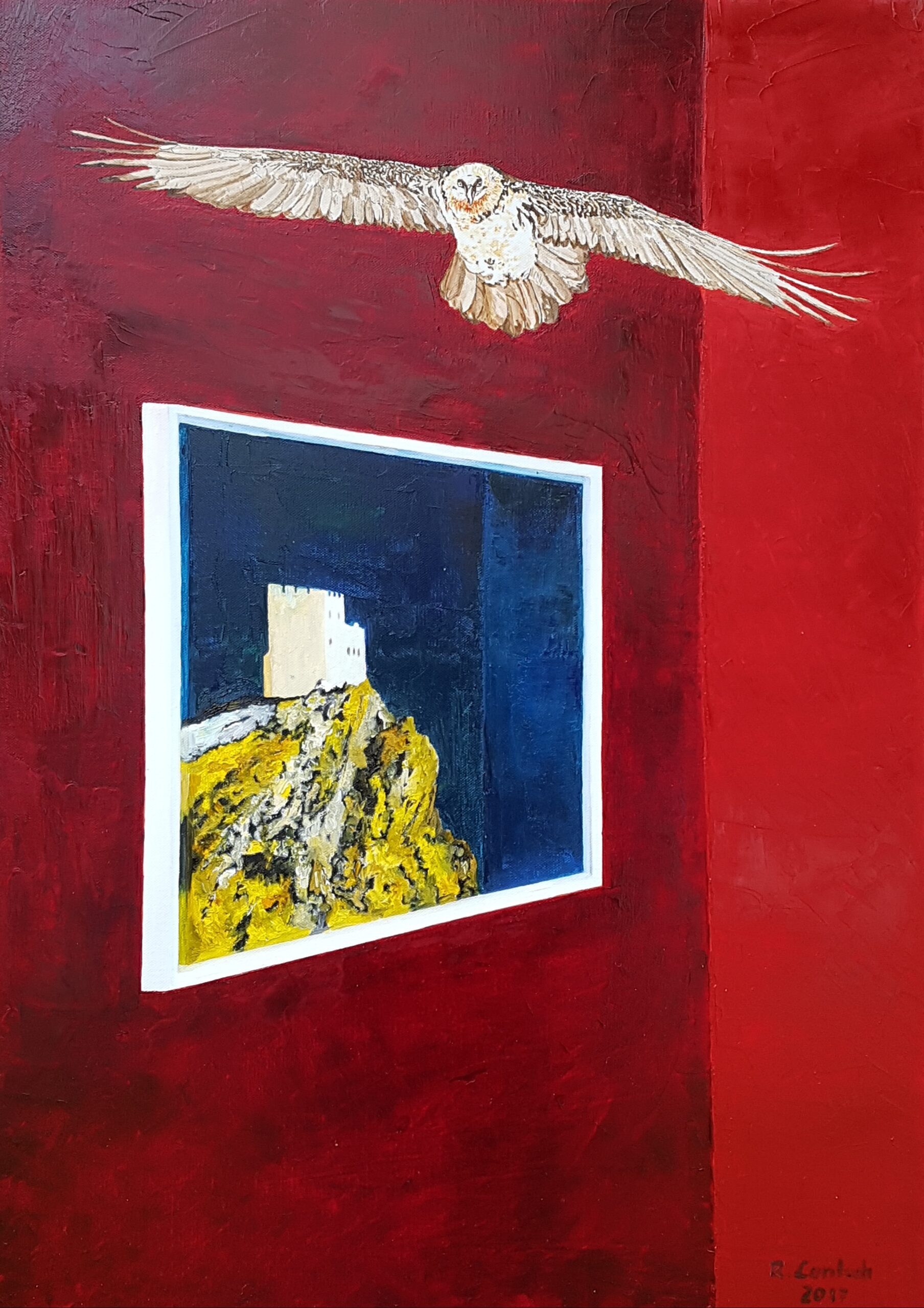 Reinhard Lentsch zeichnete und malte 2017 dieses Bild mit Tusche und Öl auf einer 50 x 80 cm großen Leinwand. Das Motiv ist ein „Lebensraum“ in dem ein Bild von der Burg Laudegg in Ladis hängt. Darüber dreht ein Bartgeier seine Kreise. Der Bartgeier – ein faszinierender Überlebenskünstler der Alpen Der Bartgeier, auch Lämmergeier genannt, gehört zur Familie der Habichtartigen und ist damit weder ein klassischer Geier noch ein Adler. Mit einer Flügelspannweite von bis zu 2,90 Metern, einem Gewicht von bis zu 7 Kilogramm und einer Lebenserwartung von bis zu 40 Jahren zählt er zu den größten flugfähigen Vögeln Europas. Seine Ernährung ist einzigartig: Bis zu 90 % seiner Nahrung besteht aus Knochen. Um an das nahrhafte Knochenmark zu gelangen, lässt er Knochen aus großer Höhe auf Felsen fallen – sogenannte „Knochenschmieden“ – bis sie zersplittern. Auffällig ist auch sein Äußeres: Das rötlich-orange Gefieder entsteht durch Baden in eisenoxydhaltigem Schlamm und dient vermutlich mehreren Zwecken – es signalisiert Stärke und Reife, wirkt antibakteriell und bietet Tarnung in felsigem Gelände. Die roten Augenringe, verstärkt durch die beinahe weiße Iris, haben Signalwirkung und deuten auf Fitness und Dominanz hin – besonders wichtig beim Streit um Aas. Trotz seiner Größe ist der Bartgeier für den Menschen völlig ungefährlich und zeigt selbst bei Nestern kein aggressives Verhalten. Meist legen die Tiere zwei Eier, ziehen jedoch stets nur ein Küken auf – das stärkere setzt sich gegen das schwächere durch („Kainismus“). Die Eiablage erfolgt bereits im Januar, sodass der Nachwuchs im Frühling ausreichend Nahrung findet. Die Vögel sind extrem kältehart – sie werden während der Brutzeit mitunter vollständig eingeschneit. Die Nestlingszeit dauert bis zu vier Monate. Bartgeier sind monogam und bleiben ein Leben lang als Paar zusammen. Rückkehr in den Alpenraum Im 19. Jahrhundert wurde der Bartgeier in Tirol durch intensive Verfolgung ausgerottet. Erst 1986 begann im Nationalpark Hohe Tauern die Wiederansiedlung, die heute als Erfolg gilt: Im Jahr 2024 leben in Österreich wieder rund 40 Bartgeier, darunter 12 nachgewiesene Brutpaare. Besonders im Bezirk Landeck – im Kaunertal, Pitztal und Ötztal – hat sich der Bartgeier erneut angesiedelt. In Nordtirol konnten sich fünf Brutpaare etablieren, drei davon in den westlichen Tälern Tirols. Im Jahr 2023 zogen diese Paare erfolgreich Jungvögel auf. Beobachtungen aus dem Oktober 2024 in den Bezirken Landeck, Imst und Reutte zeigen, dass sich die Population dort weiter ausbreitet. Der Naturpark Ötztal spielt dabei eine zentrale Rolle mit Monitoring- und Schutzmaßnahmen – unterstützt durch eine eigene Bartgeierbeauftragte. Auch im Südtiroler Vinschgau, insbesondere im Bereich des Nationalparks Stilfserjoch, ist der Bartgeier wieder heimisch geworden. Im Jahr 2023 wurden dort fünf Brutpaare mit erfolgreich aufgezogenen Jungtieren registriert. Im Schweizer Nationalpark rund um den Ofenpass (Engadin) wurde 2007 erstmals wieder ein Bartgeier in freier Wildbahn geboren. Genaue aktuelle Zahlen fehlen, doch die Population in den Zentral- und Nordwestalpen – zu denen das Engadin zählt – wächst stabil. Insgesamt leben heute schätzungsweise 300 bis 400 Bartgeier im gesamten Alpenraum. Die Entwicklung zeigt: Der Bartgeier ist auf dem besten Weg, wieder ein fester Bestandteil der Alpenfauna zu werden – majestätisch, anpassungsfähig und doch vollkommen ungefährlich. Für diese Information über den Bartgeier habe ich einen Facebookeintrag vom 10.05.2024 von Dr. Schranz Johannes nachbearbeitet und mit den Daten über das Kauner-, Pitz- und Ötztal, sowie den Grenzraum zum Vinschgau und Engadin nach entsprechender Recherche ergänzt.