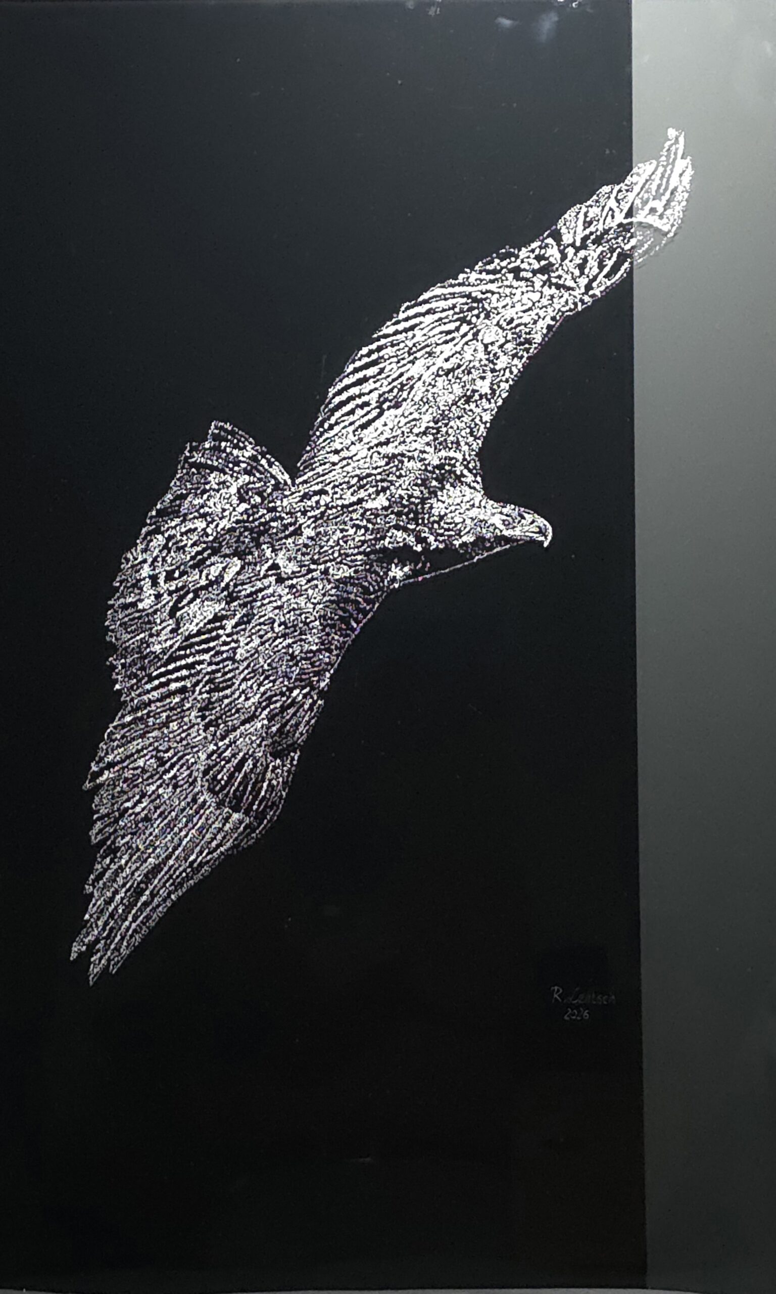Das Bild zeigt einen Steinadler im Flug vor einem zweigeteilten Hintergrund (Grau und Schwarz). Das Motiv wurde vom Rieder Künstler Reinhard Lentsch 2026 in einer speziellen Technik mit einem Hammer auf Glas geschlagen. Unzählige, mehr oder weniger kraftvoll gesetzte Einschlägen, die das Licht reflektieren und dem Gefieder eine plastische, fast funkelnde Struktur verleihen, stellen das Tier dar.